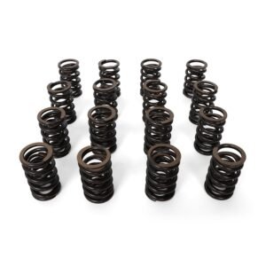 BLOX Racing Valve Springs F-Series DOHC VTEC F20C, F22C (2.0L -2.2L DOHC VTEC)